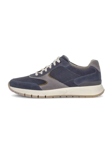 Gabor Sneaker low in blau