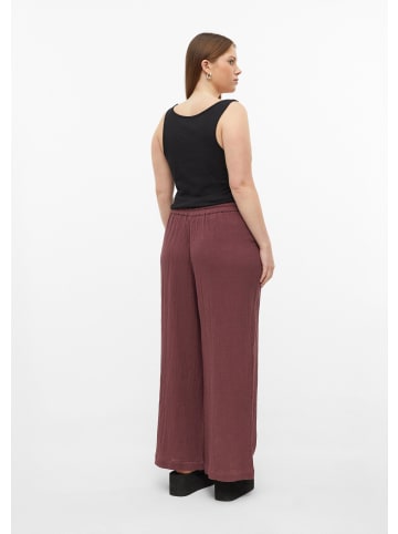 QS Hose  in  4923_bordeaux