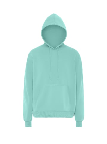 Yuka Herren Hoodie in Eisminze