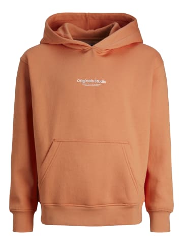 JACK & JONES Junior Kapuzensweatshirt 'Vester' in orange