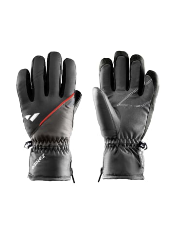 Zanier Handschuhe RAURIS.GTX in schwarz rot