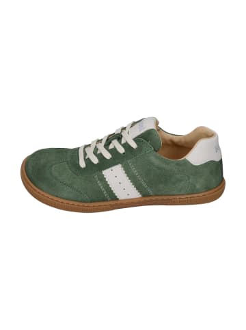 KOEL Sneaker Low DECLAN SUEDE 3.0 in braun