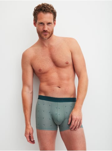 Calida New Boxer in laurel green