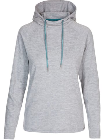 Trespass Hoodie in Grau