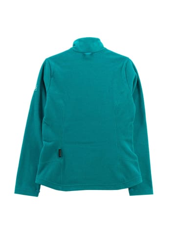 Jack Wolfskin Jacke Skywind Fleece Nanuk in Blau