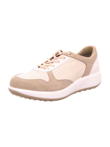 Joya Komfort Schnürschuhe in Beige