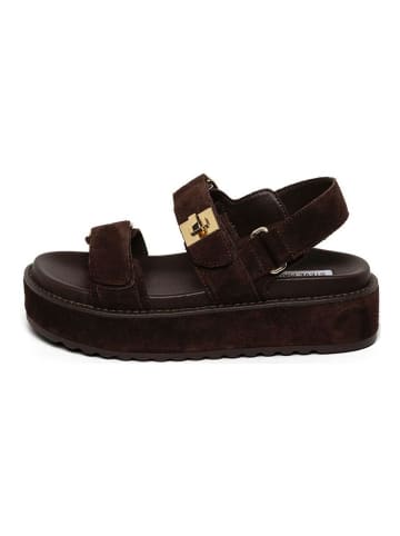 Steve Madden Sandalen Dunkelbraun