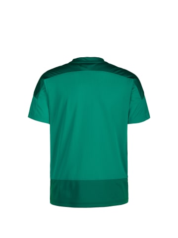 Puma Trainingsshirt TeamGOAL 23 Jersey Junior in grün