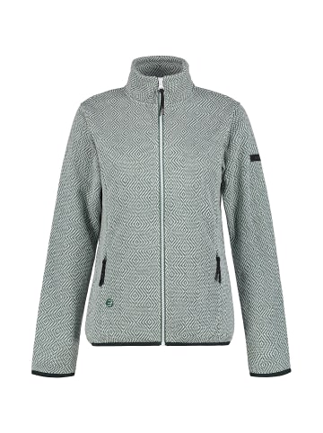 Icepeak Fleecejacke ICEPEAK AULTI in Grün2027