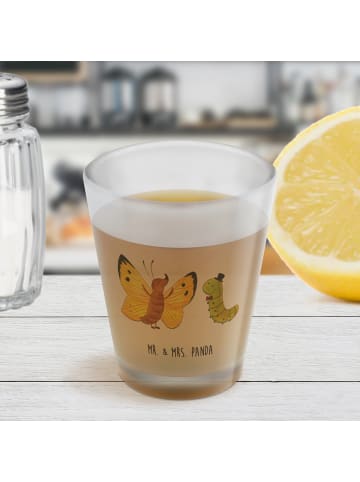Mr. & Mrs. Panda Schnapsglas Raupe Schmetterling ohne Spruch in Transparent
