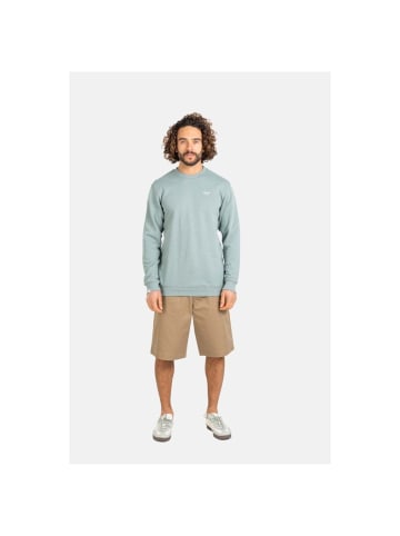 Reell Pullover "Staple Terry Crewneck CO" in Grün