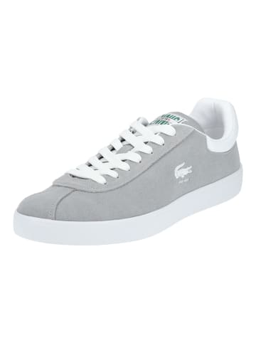 Lacoste Sneaker in Grau/Weiß