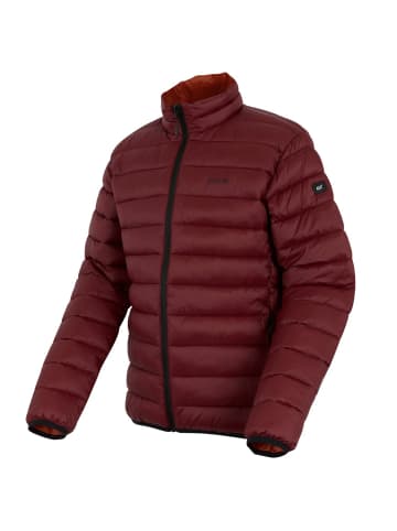 Regatta Jacke Marizion Baffle in Dunkelrot