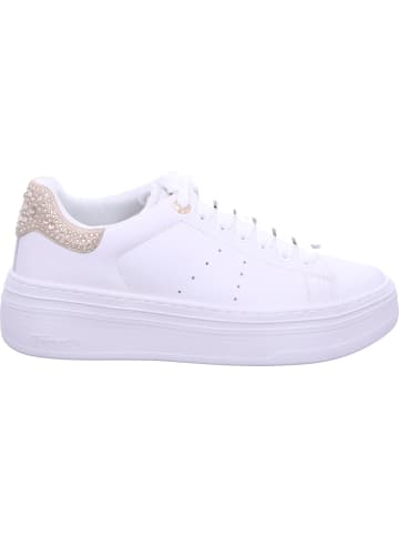 Tamaris Sneaker in WHITE/CHAMPAGNE