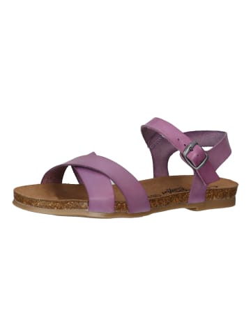 Cosmos Comfort Sandalen in Lavendel