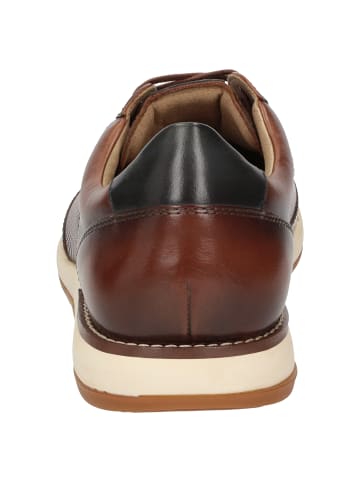 Sioux Sneaker Furatino-702 in cognac