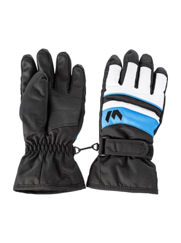 Whistler Skihandschuhe RHETT Ski Gloves in 2008 French Blue