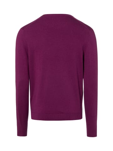 Finshley & Harding Pullover in himbeer - 0010