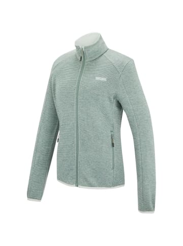 Regatta Sweatshirt für Damen in grau