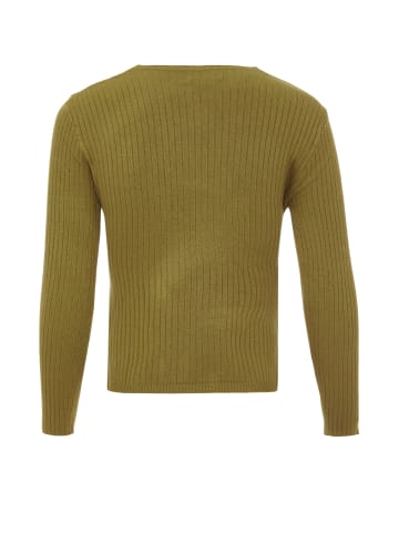 eucaly Strickpullover in Oliv