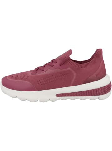 Geox Sneaker low D Spherica Actif A in bordeaux