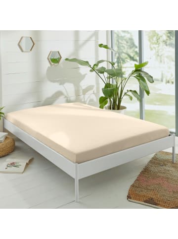 Erwin Müller Single-Jersey Spannbettlaken Murnau in beige