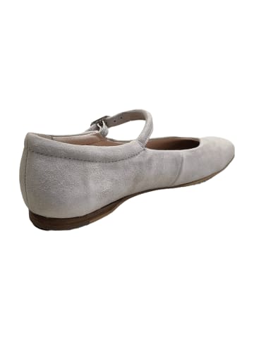 Apple of Eden Ballerinas in Grau