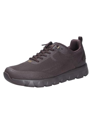 Tenhaag Sneaker in braun