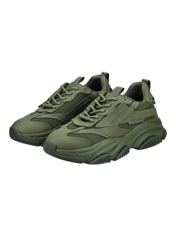 Steve Madden Sneaker in Olive