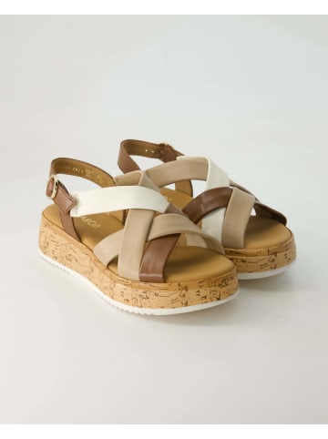 Gabor Comfort Sandalen in Beige