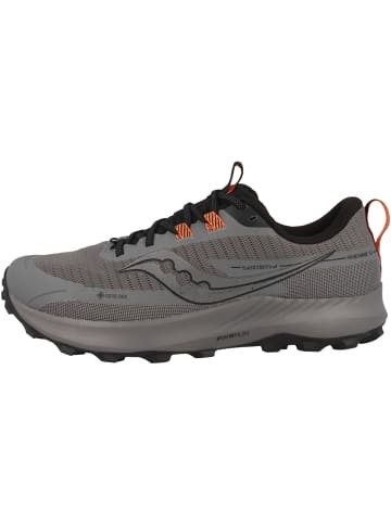 Saucony Outdoorschuhe Peregrine 13 GTX in grau