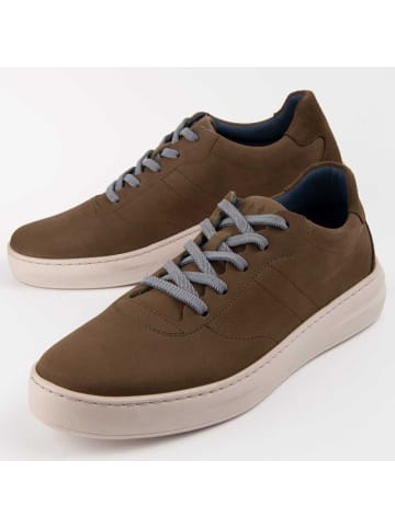 Purapiel Sneakers Hausschuhe Novas es in Grün