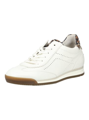 Gabor Sneaker Weiß