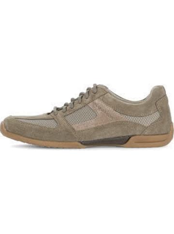 Pius Gabor Schnürschuhe Sneaker low in Grün