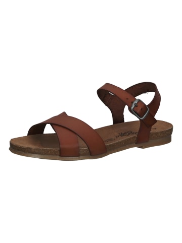 Cosmos Comfort Sandalen in Kastanie