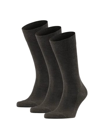 Falke Socken 3er Pack in Dunkelbraun