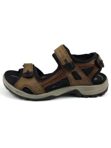 Ecco Sandalette in braun