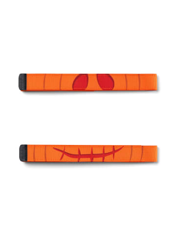 Satch Satch Swap Spicy Pumpkin