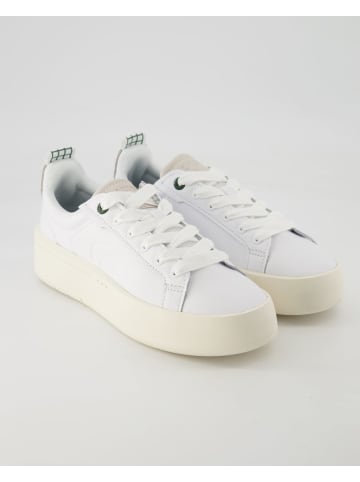 Lacoste Sneaker low in Weiß