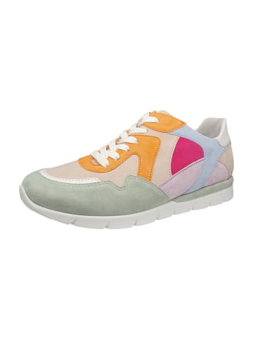Semler Sneaker Low in Bunt