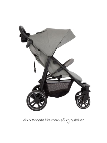 Graco Buggy & Sportwagen Eezefold DLX in grau