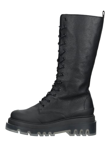 Steve Madden Stiefel in Schwarz