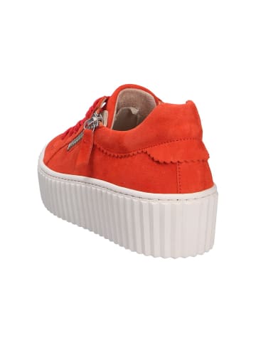 Pius Gabor Sneaker in orange