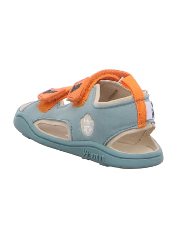 Affenzahn Sandalen in Türkis