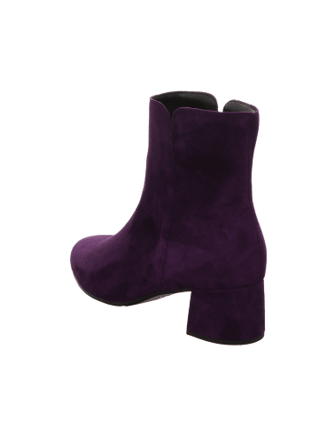 Gabor Stiefel Ungefüttert Etten Elegant Ungefüttert  in purple