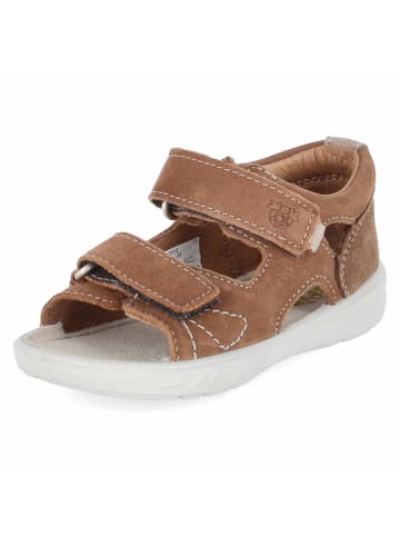 PEPINO Minilette in brown