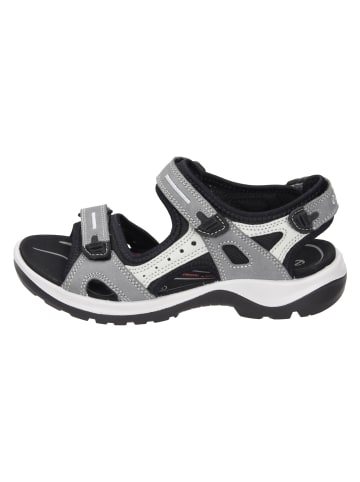 Ecco Klassische Sandaletten, Outdoor-Sandalen in titanium