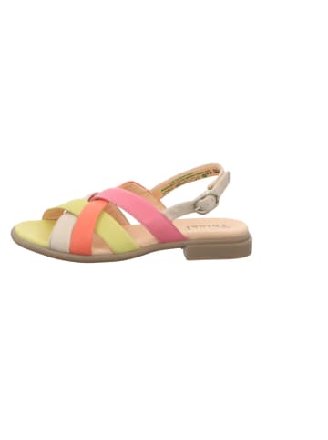 Think! Riemchen Sandalen für Damen in Bunt