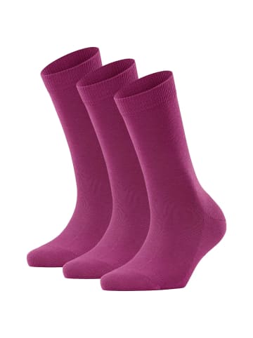 Falke Socken 3er Pack in Lila