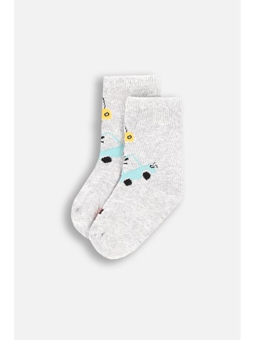 Coccodrillo Socken in grau